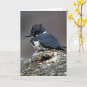 Omgorde Ijsvogel Kaart (Gele Bloem)