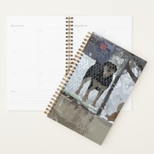 Omheinde hond plannend planner (Display)