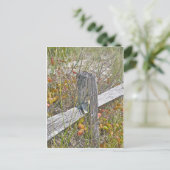 Omheining en gif IBSP NJ Coördinerende items Briefkaart (Staand voorkant)