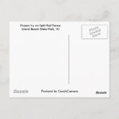 Omheining en gif IBSP NJ Coördinerende items Briefkaart (Achterkant)