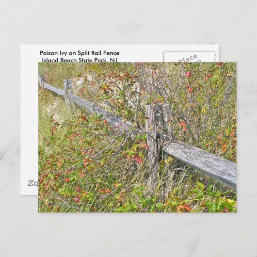 Omheining en gif IBSP NJ Coördinerende items Briefkaart (Voorkant / Achterkant)
