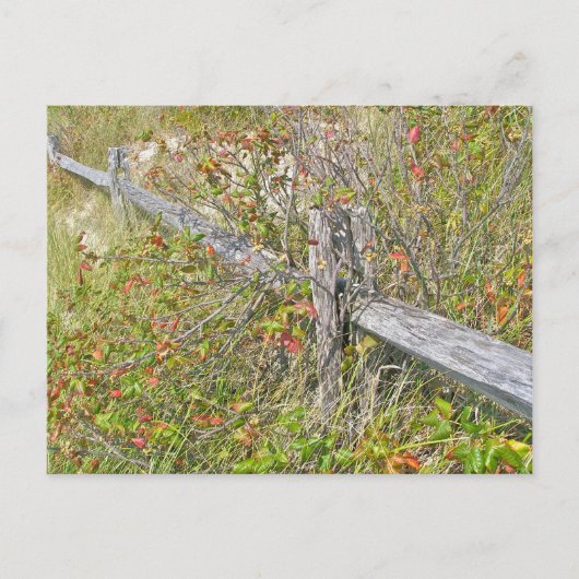 Omheining en gif IBSP NJ Coördinerende items Briefkaart (Voorkant)