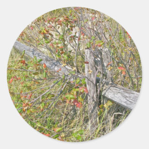 Omheining en gif IBSP NJ Coördinerende items Ronde Sticker