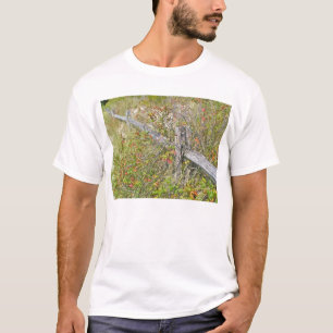Omheining en gif IBSP NJ Coördinerende items T-shirt