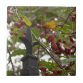 Omheining en krabappels tegeltje (Voorkant)