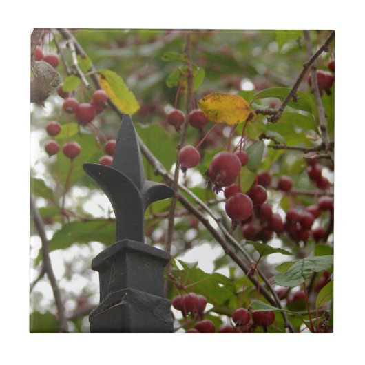 Omheining en krabappels tegeltje (Voorkant)