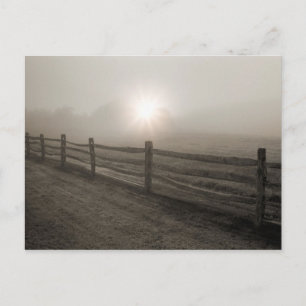 Omheining en Sunburst Through Fog bij Sharon Briefkaart