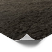 Omheining en Sunburst Through Fog bij Sharon Poster (Hoek)