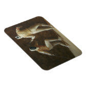 Omheining Magneet (Rechterzijde)