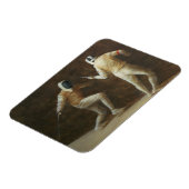 Omheining Magneet (Linkerzijde)