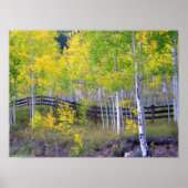 Omheining met Aspens Poster (Voorkant)