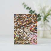 Omheining met hangsloten van liefdesfotografie briefkaart (Staand voorkant)