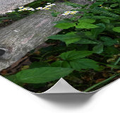 Omheining met Wildflowers Poster (Hoek)