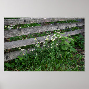 Omheining met Wildflowers Poster