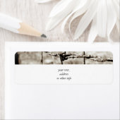 Omheining van de gestreepte draad (Sepia) Etiket (Insitu)