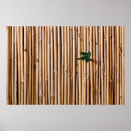 Omheining van het barrièrescherm poster (Voorkant)