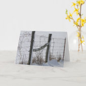 Omheiningen & Sneeuw Kaart (Gele Bloem)