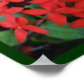 Omhels uw unieke poster (Hoek)