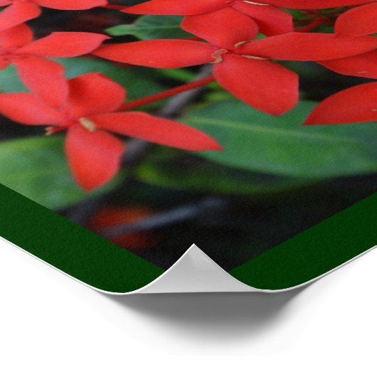 Omhels uw unieke poster (Hoek)