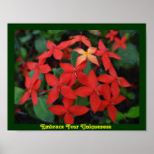 Omhels uw unieke poster (Voorkant)