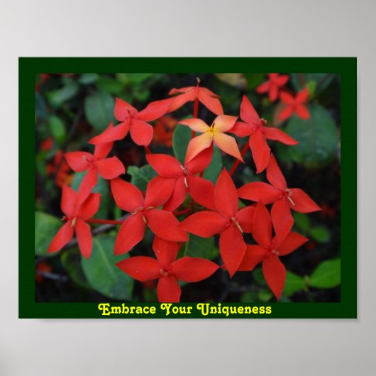 Omhels uw unieke poster (Voorkant)