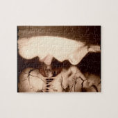 omhelzen legpuzzel (Horizontaal)