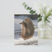 Omhoog Briefkaart (Staand voorkant)