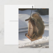 Omhoog Briefkaart (Voorkant / Achterkant)