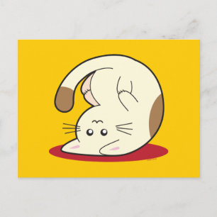 Omhoog Cat Briefkaart