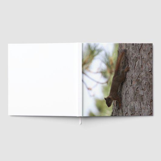 Omhoog Eekhoorn Gastenboek (Volledig)