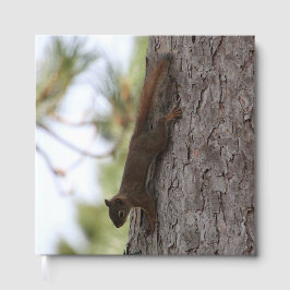 Omhoog Eekhoorn Gastenboek