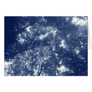 Omhoog in de bomen - Cyanotype-effect