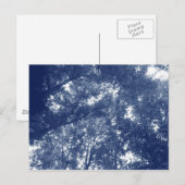 Omhoog in de bomen - Cyanotype-effect Briefkaart (Voorkant / Achterkant)