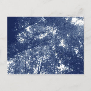 Omhoog in de bomen - Cyanotype-effect Briefkaart