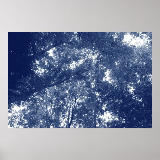 Omhoog in de bomen - Cyanotype-effect Poster (Voorkant)