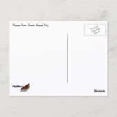 Omhoog kijken naar Mariposa Grove Briefkaart (Achterkant)