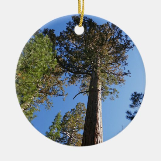 Omhoog kijken naar Mariposa Grove Keramisch Ornament (Voorkant)