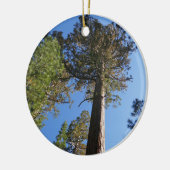 Omhoog kijken naar Mariposa Grove Keramisch Ornament (Links)