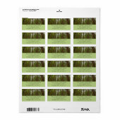 Omhoog kijken naar Oerbos Etiket (Full Sheet)