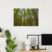 Omhoog kijken naar Oerbos Poster (Thuiskantoor)