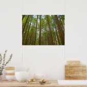 Omhoog kijken naar Oerbos Poster (Keuken)