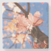 omhoog, omhoog, in de bomen stenen onderzetter (Voorkant)