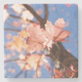 omhoog, omhoog, in de bomen stenen onderzetter