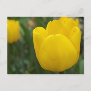 Omhoog Sluiten en Persoonlijk Briefkaart