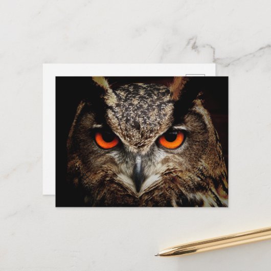 Omhoog Sluiten met Oranje ogen Briefkaart (Voorkant / Achterkant in situ)