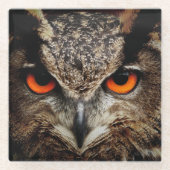 Omhoog Sluiten met Oranje ogen Glazen Onderzetter (Voorkant)