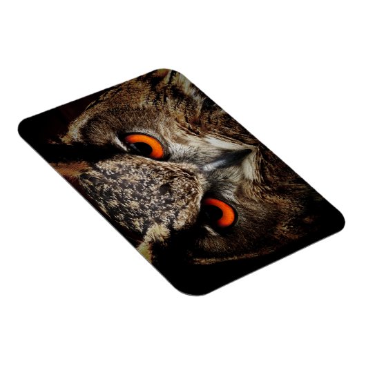 Omhoog Sluiten met Oranje ogen Magneet (Rechterzijde)