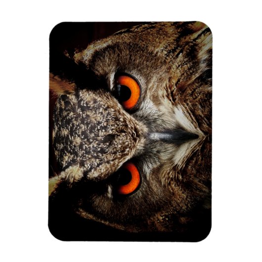 Omhoog Sluiten met Oranje ogen Magneet (Verticaal)