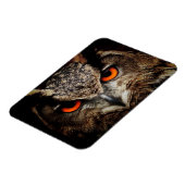 Omhoog Sluiten met Oranje ogen Magneet (Linkerzijde)