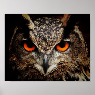 Omhoog Sluiten met Oranje ogen Poster